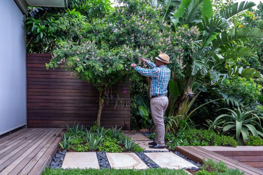 Garden Services Ballito - Landscaping | Paving | Irrigation. Eco Balance Landscapes excels at indigenous horticulture design and maintenance.