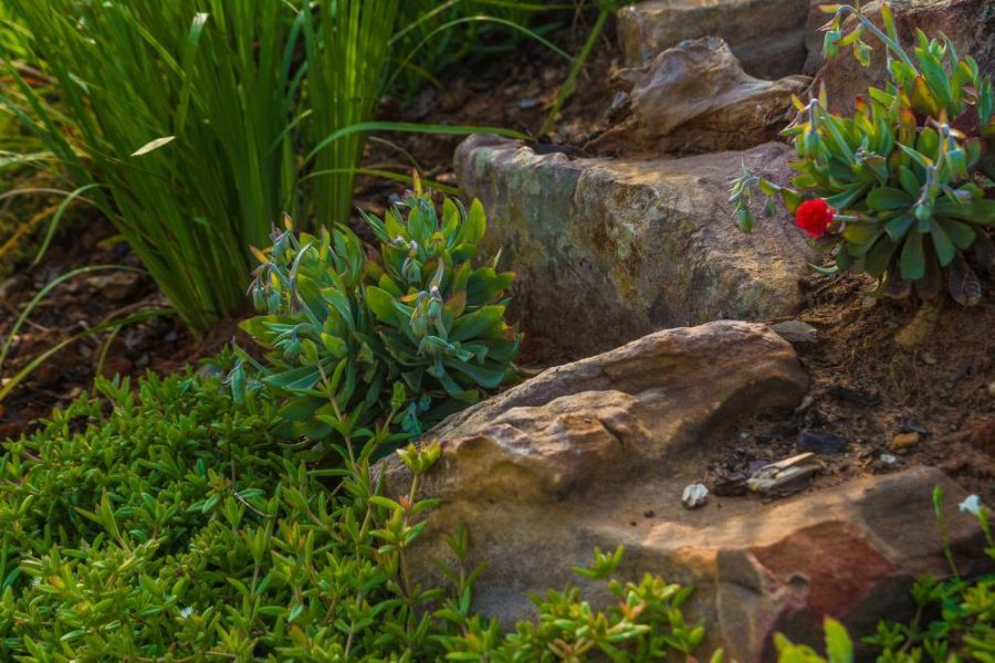 Garden Services Ballito - Landscaping | Paving | Irrigation. Eco Balance Landscapes excels at indigenous horticulture design and maintenance.