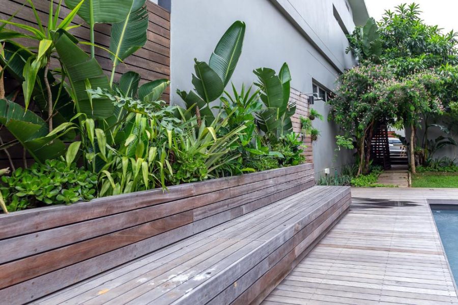 Garden Services Ballito - Landscaping | Paving | Irrigation. Eco Balance Landscapes excels at indigenous horticulture design and maintenance.