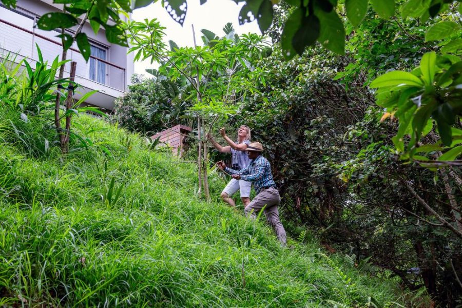 Garden Services Ballito - Landscaping | Paving | Irrigation. Eco Balance Landscapes excels at indigenous horticulture design and maintenance.