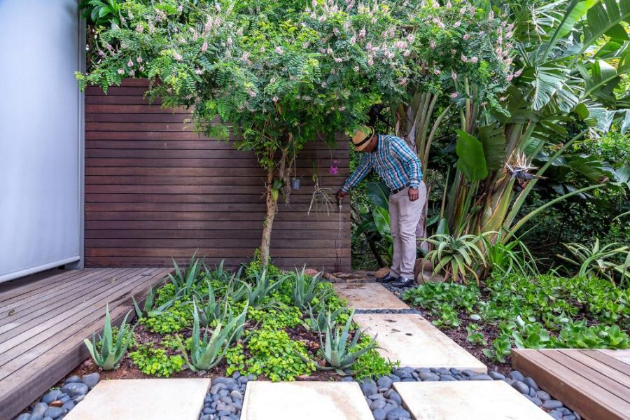 Garden Services Ballito - Landscaping | Paving | Irrigation. Eco Balance Landscapes excels at indigenous horticulture design and maintenance.