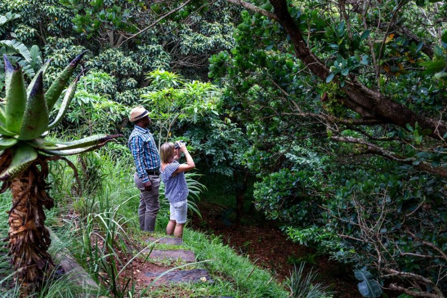 Garden Services Ballito - Landscaping | Paving | Irrigation. Eco Balance Landscapes excels at indigenous horticulture design and maintenance.