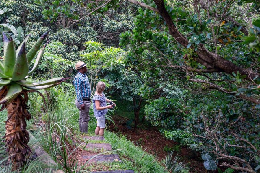 Garden Services Ballito - Landscaping | Paving | Irrigation. Eco Balance Landscapes excels at indigenous horticulture design and maintenance.