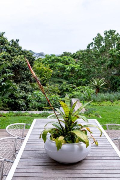 Garden Services Ballito - Landscaping | Paving | Irrigation. Eco Balance Landscapes excels at indigenous horticulture design and maintenance.