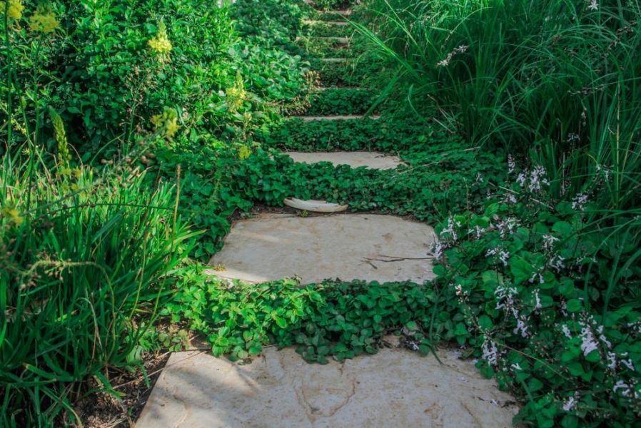 Garden Services Ballito - Landscaping | Paving | Irrigation. Eco Balance Landscapes excels at indigenous horticulture design and maintenance.