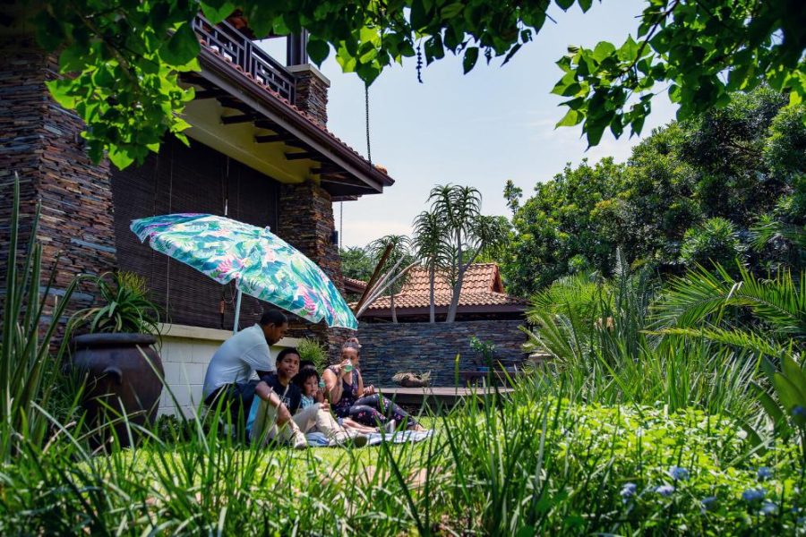 Garden Services Ballito - Landscaping | Paving | Irrigation. Eco Balance Landscapes excels at indigenous horticulture design and maintenance.
