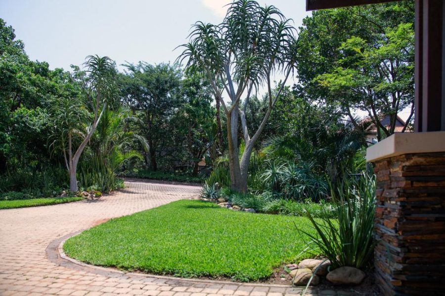 Garden Services Ballito - Landscaping | Paving | Irrigation. Eco Balance Landscapes excels at indigenous horticulture design and maintenance.