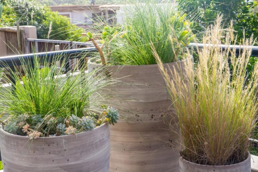 Garden Services Ballito - Landscaping | Paving | Irrigation. Eco Balance Landscapes excels at indigenous horticulture design and maintenance.