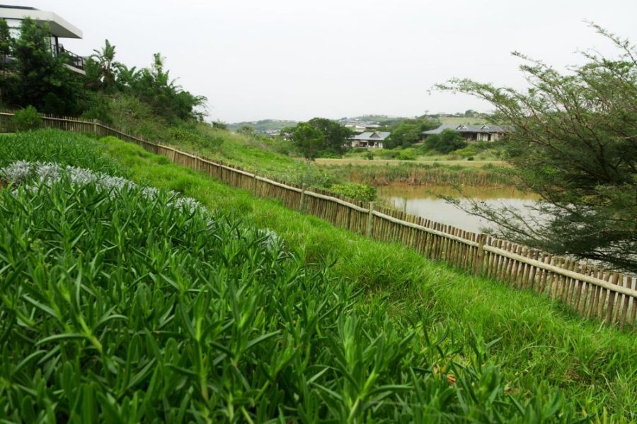 Garden Services Ballito - Landscaping | Paving | Irrigation. Eco Balance Landscapes excels at indigenous horticulture design and maintenance.