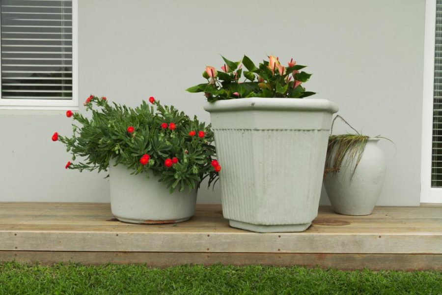Garden Services Ballito - Landscaping | Paving | Irrigation. Eco Balance Landscapes excels at indigenous horticulture design and maintenance.