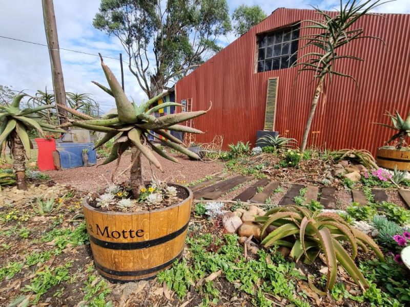 Garden Services Ballito - Landscaping | Paving | Irrigation. Eco Balance Landscapes excels at indigenous horticulture design and maintenance.