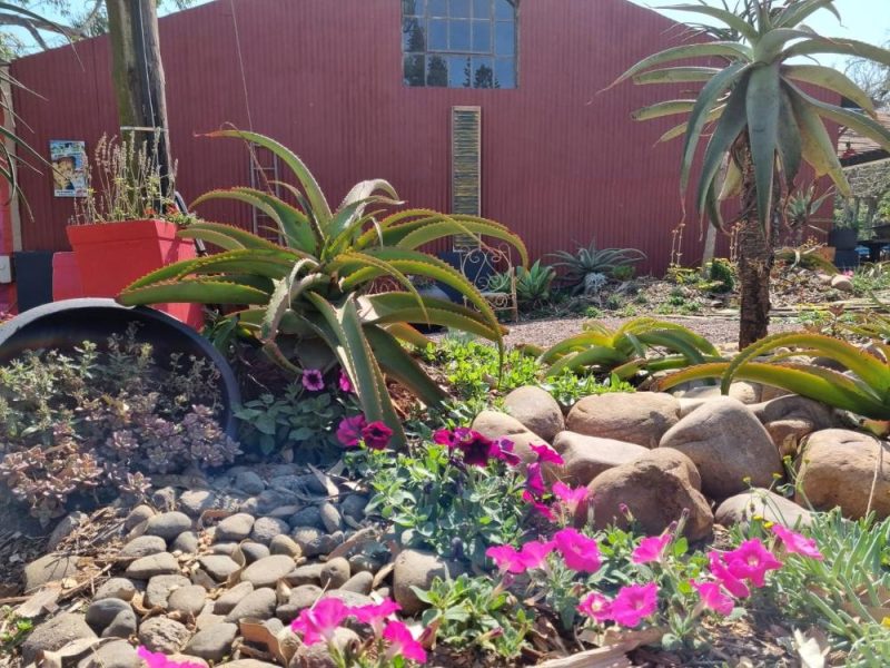 Garden Services Ballito - Landscaping | Paving | Irrigation. Eco Balance Landscapes excels at indigenous horticulture design and maintenance.