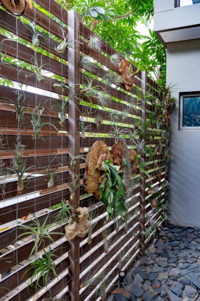 Garden Services Ballito - Landscaping | Paving | Irrigation. Eco Balance Landscapes excels at indigenous horticulture design and maintenance.