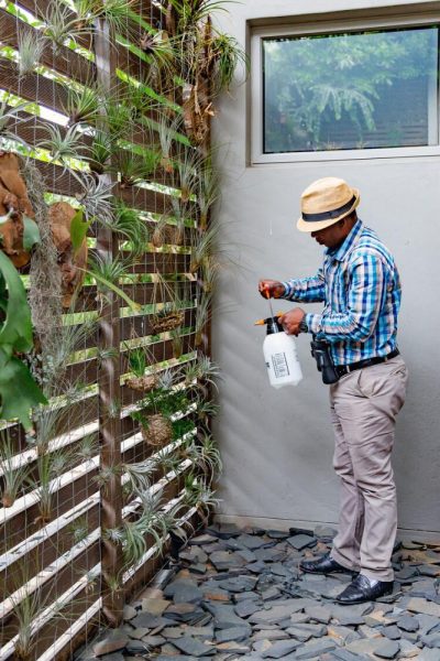 Garden Services Ballito - Landscaping | Paving | Irrigation. Eco Balance Landscapes excels at indigenous horticulture design and maintenance.