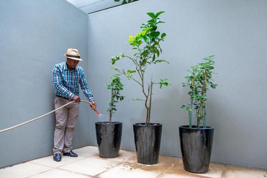 Garden Services Ballito - Landscaping | Paving | Irrigation. Eco Balance Landscapes excels at indigenous horticulture design and maintenance.