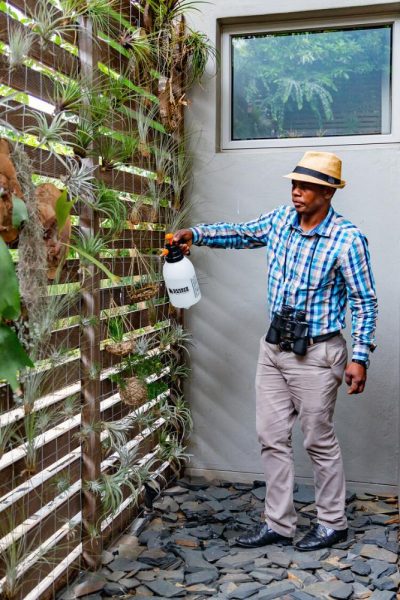Garden Services Ballito - Landscaping | Paving | Irrigation. Eco Balance Landscapes excels at indigenous horticulture design and maintenance.