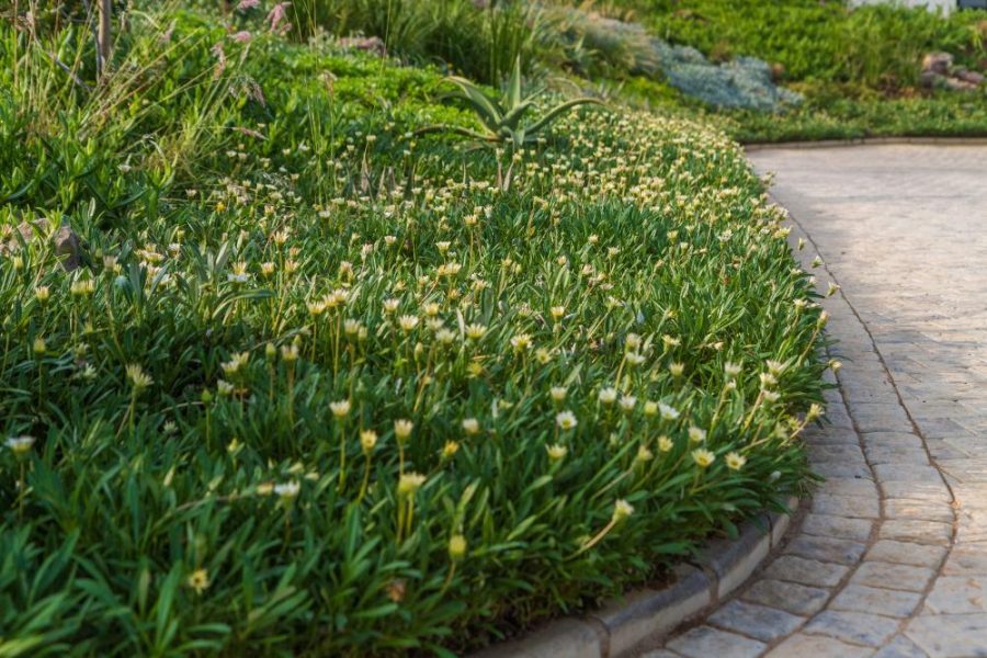 Garden Services Ballito - Landscaping | Paving | Irrigation. Eco Balance Landscapes excels at indigenous horticulture design and maintenance.