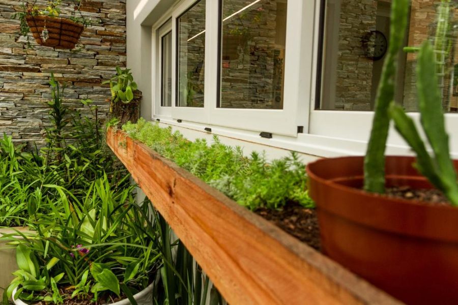 Garden Services Ballito - Landscaping | Paving | Irrigation. Eco Balance Landscapes excels at indigenous horticulture design and maintenance.