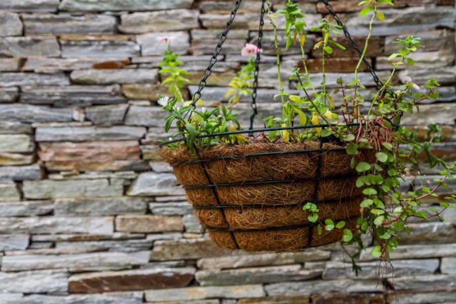 Garden Services Ballito - Landscaping | Paving | Irrigation. Eco Balance Landscapes excels at indigenous horticulture design and maintenance.