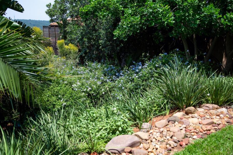 Garden Services Ballito - Landscaping | Paving | Irrigation. Eco Balance Landscapes excels at indigenous horticulture design and maintenance.