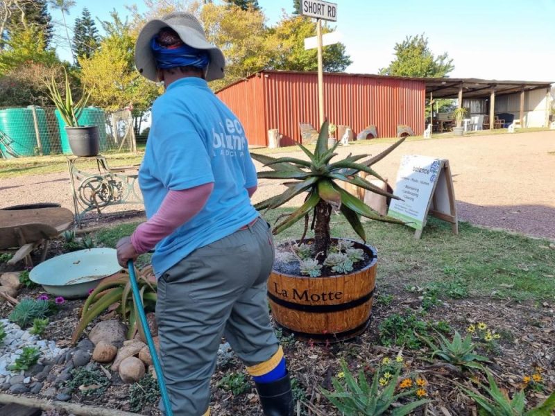 Garden Services Ballito - Landscaping | Paving | Irrigation. Eco Balance Landscapes excels at indigenous horticulture design and maintenance.