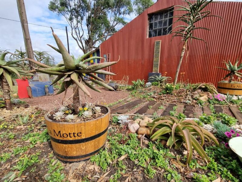 Garden Services Ballito - Landscaping | Paving | Irrigation. Eco Balance Landscapes excels at indigenous horticulture design and maintenance.
