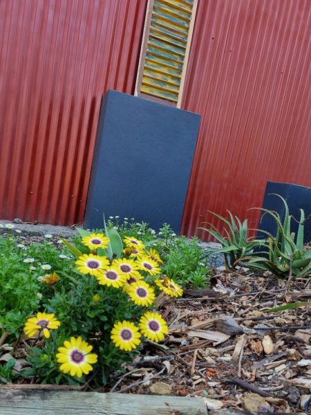Garden Services Ballito - Landscaping | Paving | Irrigation. Eco Balance Landscapes excels at indigenous horticulture design and maintenance.