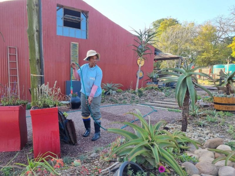 Garden Services Ballito - Landscaping | Paving | Irrigation. Eco Balance Landscapes excels at indigenous horticulture design and maintenance.