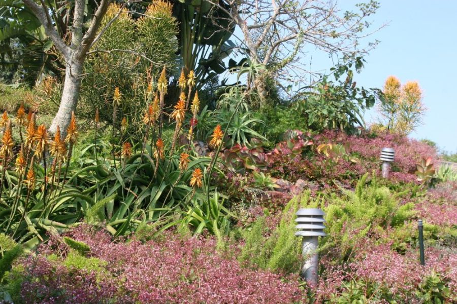 Garden Services Ballito - Landscaping | Paving | Irrigation. Eco Balance Landscapes excels at indigenous horticulture design and maintenance.