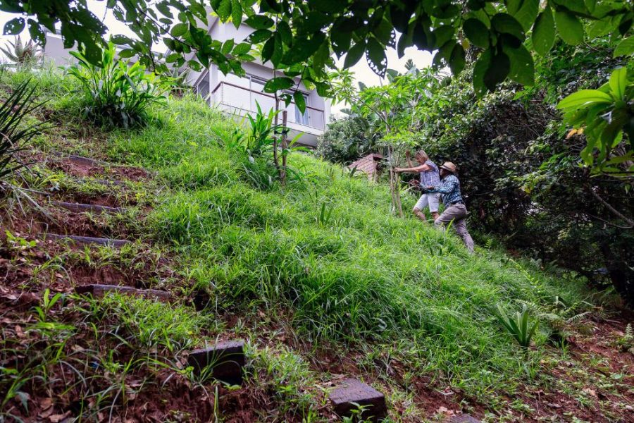 Garden Services Ballito - Landscaping | Paving | Irrigation. Eco Balance Landscapes excels at indigenous horticulture design and maintenance.