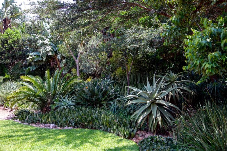 Garden Services Ballito - Landscaping | Paving | Irrigation. Eco Balance Landscapes excels at indigenous horticulture design and maintenance.