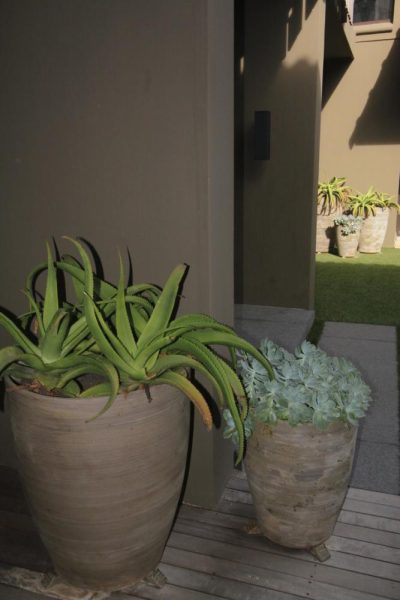 Garden Services Ballito - Landscaping | Paving | Irrigation. Eco Balance Landscapes excels at indigenous horticulture design and maintenance.