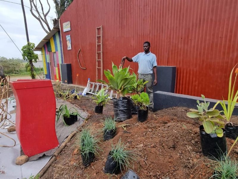 Garden Services Ballito - Landscaping | Paving | Irrigation. Eco Balance Landscapes excels at indigenous horticulture design and maintenance.