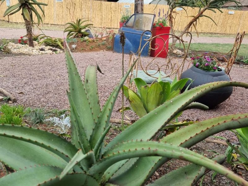 Garden Services Ballito - Landscaping | Paving | Irrigation. Eco Balance Landscapes excels at indigenous horticulture design and maintenance.
