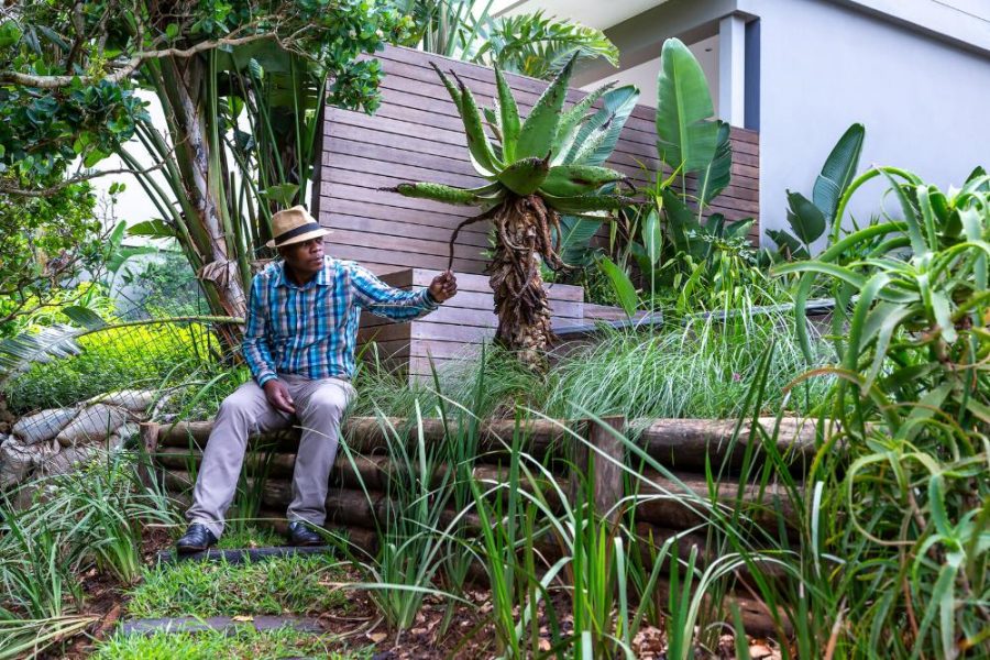 Garden Services Ballito - Landscaping | Paving | Irrigation. Eco Balance Landscapes excels at indigenous horticulture design and maintenance.