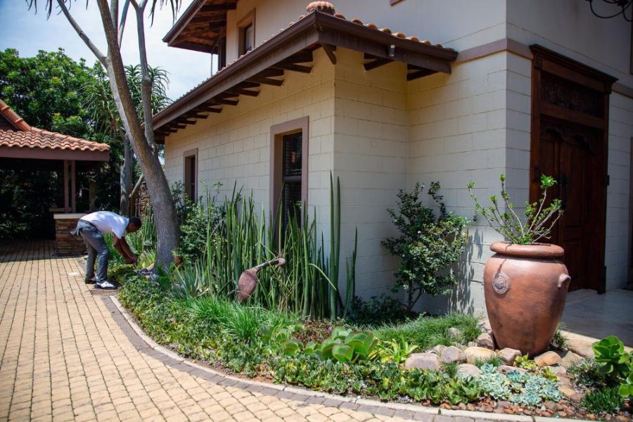 Garden Services Ballito - Landscaping | Paving | Irrigation. Eco Balance Landscapes excels at indigenous horticulture design and maintenance.