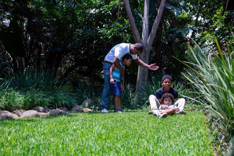Garden Services Ballito - Landscaping | Paving | Irrigation. Eco Balance Landscapes excels at indigenous horticulture design and maintenance.