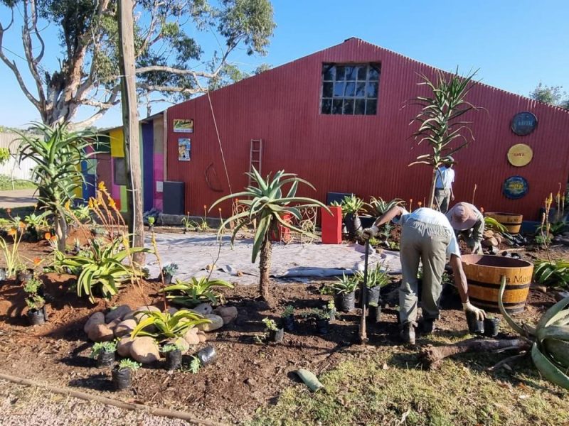 Garden Services Ballito - Landscaping | Paving | Irrigation. Eco Balance Landscapes excels at indigenous horticulture design and maintenance.