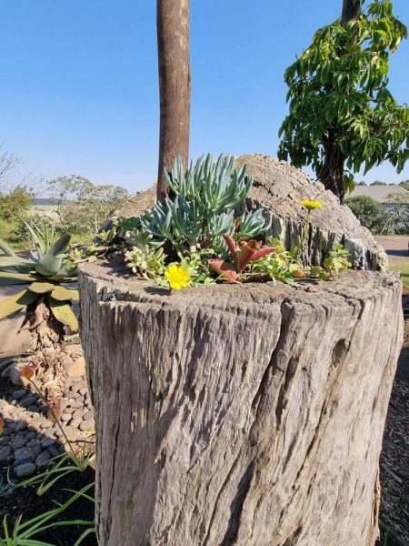 Garden Services Ballito - Landscaping | Paving | Irrigation. Eco Balance Landscapes excels at indigenous horticulture design and maintenance.