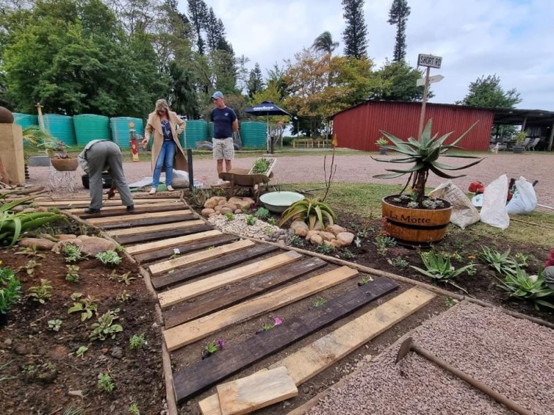 Garden Services Ballito - Landscaping | Paving | Irrigation. Eco Balance Landscapes excels at indigenous horticulture design and maintenance.