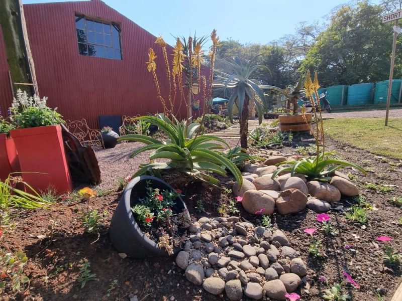 Garden Services Ballito - Landscaping | Paving | Irrigation. Eco Balance Landscapes excels at indigenous horticulture design and maintenance.