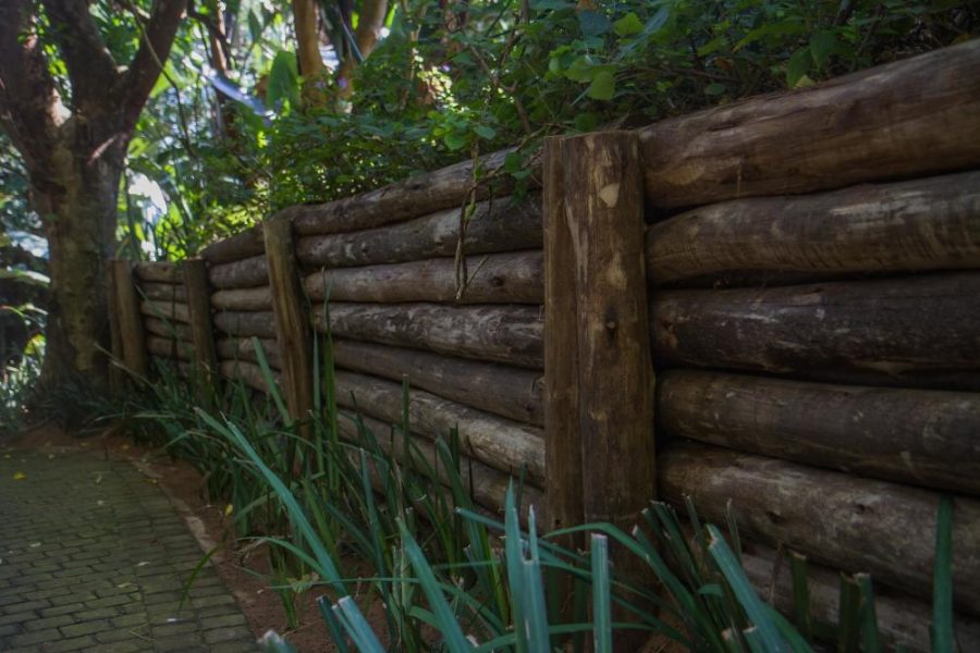 Garden Services Ballito - Landscaping | Paving | Irrigation. Eco Balance Landscapes excels at indigenous horticulture design and maintenance.