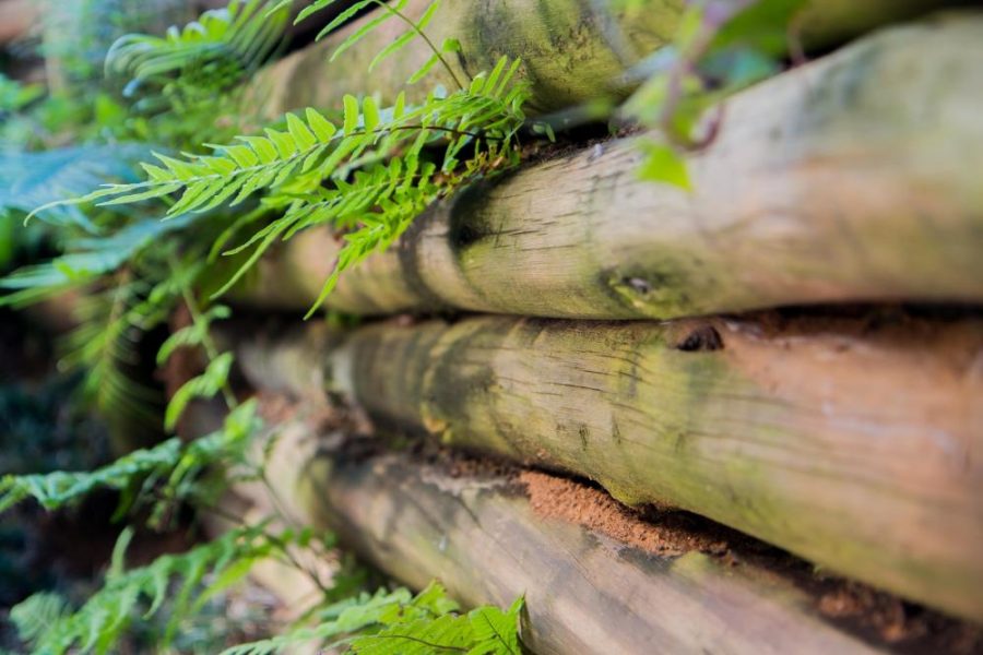 Garden Services Ballito - Landscaping | Paving | Irrigation. Eco Balance Landscapes excels at indigenous horticulture design and maintenance.