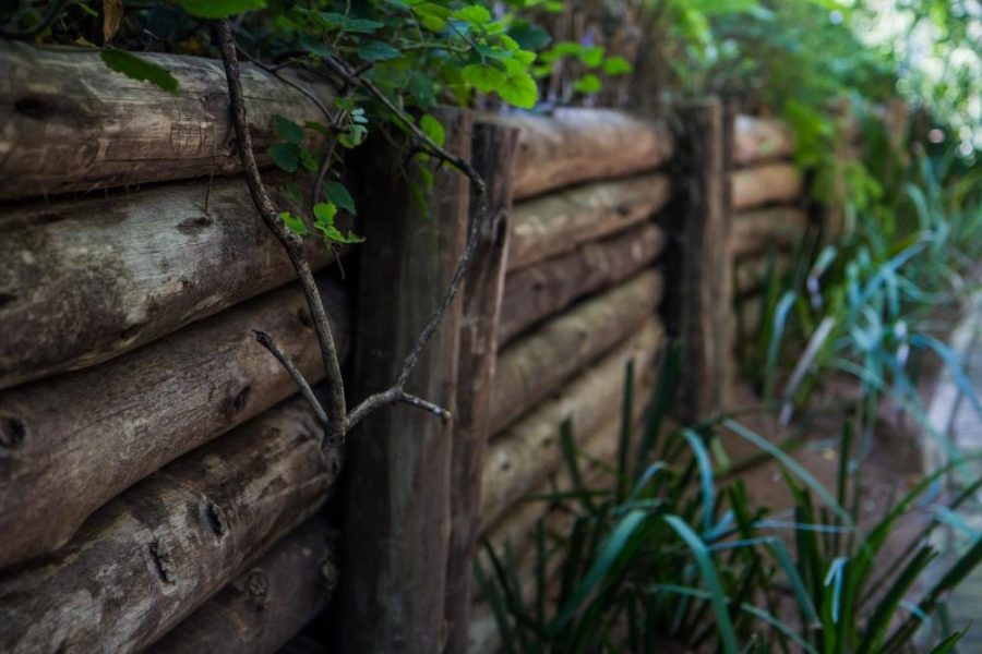 Garden Services Ballito - Landscaping | Paving | Irrigation. Eco Balance Landscapes excels at indigenous horticulture design and maintenance.