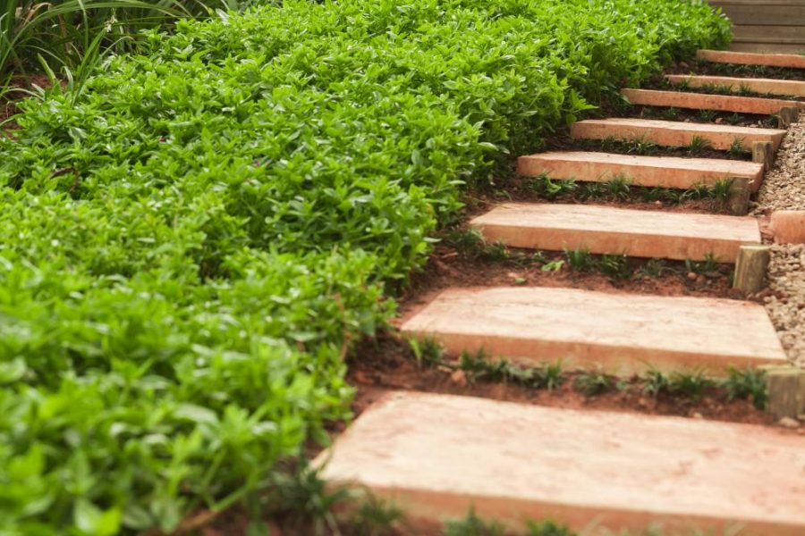 Garden Services Ballito - Landscaping | Paving | Irrigation. Eco Balance Landscapes excels at indigenous horticulture design and maintenance.