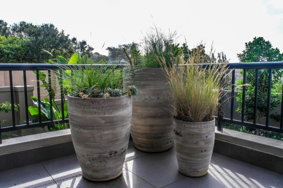 Garden Services Ballito - Landscaping | Paving | Irrigation. Eco Balance Landscapes excels at indigenous horticulture design and maintenance.
