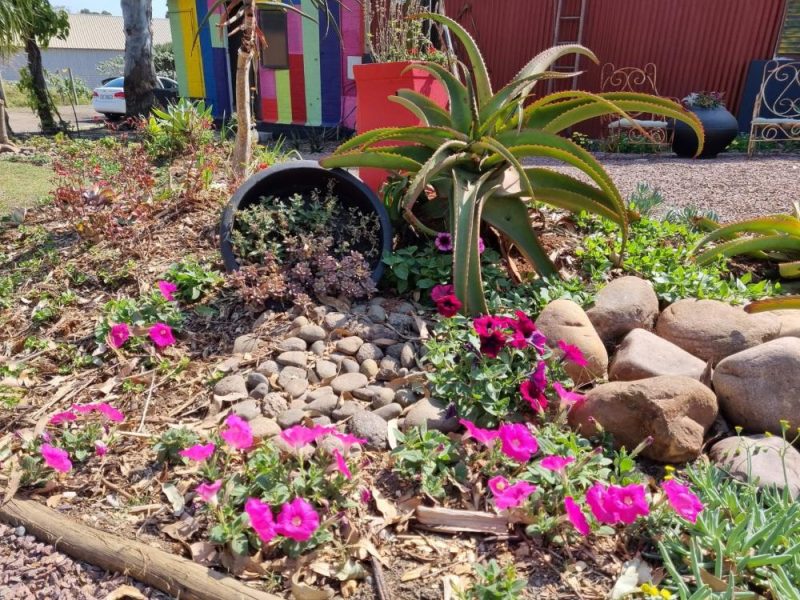 Garden Services Ballito - Landscaping | Paving | Irrigation. Eco Balance Landscapes excels at indigenous horticulture design and maintenance.