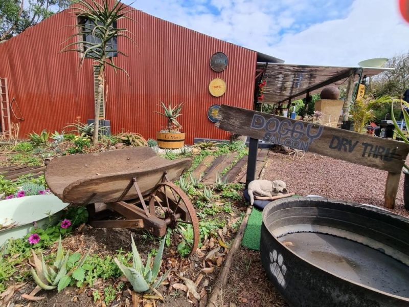Garden Services Ballito - Landscaping | Paving | Irrigation. Eco Balance Landscapes excels at indigenous horticulture design and maintenance.
