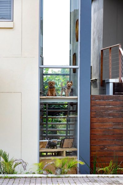 Garden Services Ballito - Landscaping | Paving | Irrigation. Eco Balance Landscapes excels at indigenous horticulture design and maintenance.