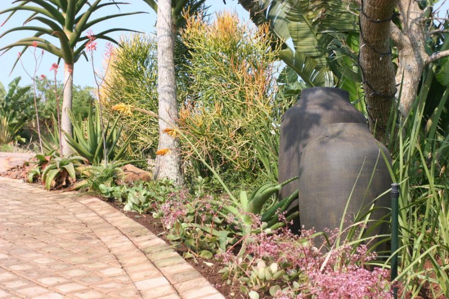 Garden Services Ballito - Landscaping | Paving | Irrigation. Eco Balance Landscapes excels at indigenous horticulture design and maintenance.